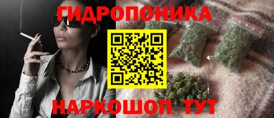 индика Ачхой-Мартан