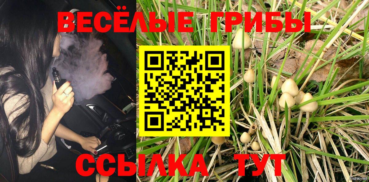 Галлюциногенные грибы GOLDEN TEACHER  Галлюциногенные грибы MAGIC MUSHROOMS  Вход с VPN  купить наркотики цена  Батайск 